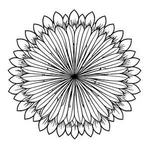Strahlendes Blumen Mandala Ausmalmotiv für kreative Naturentdecker