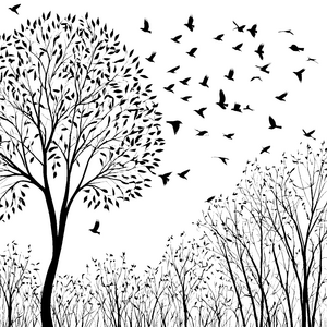 Lebendiger Baum mit fliegenden Vögeln Ausmalvorlage für kreative Naturfreunde