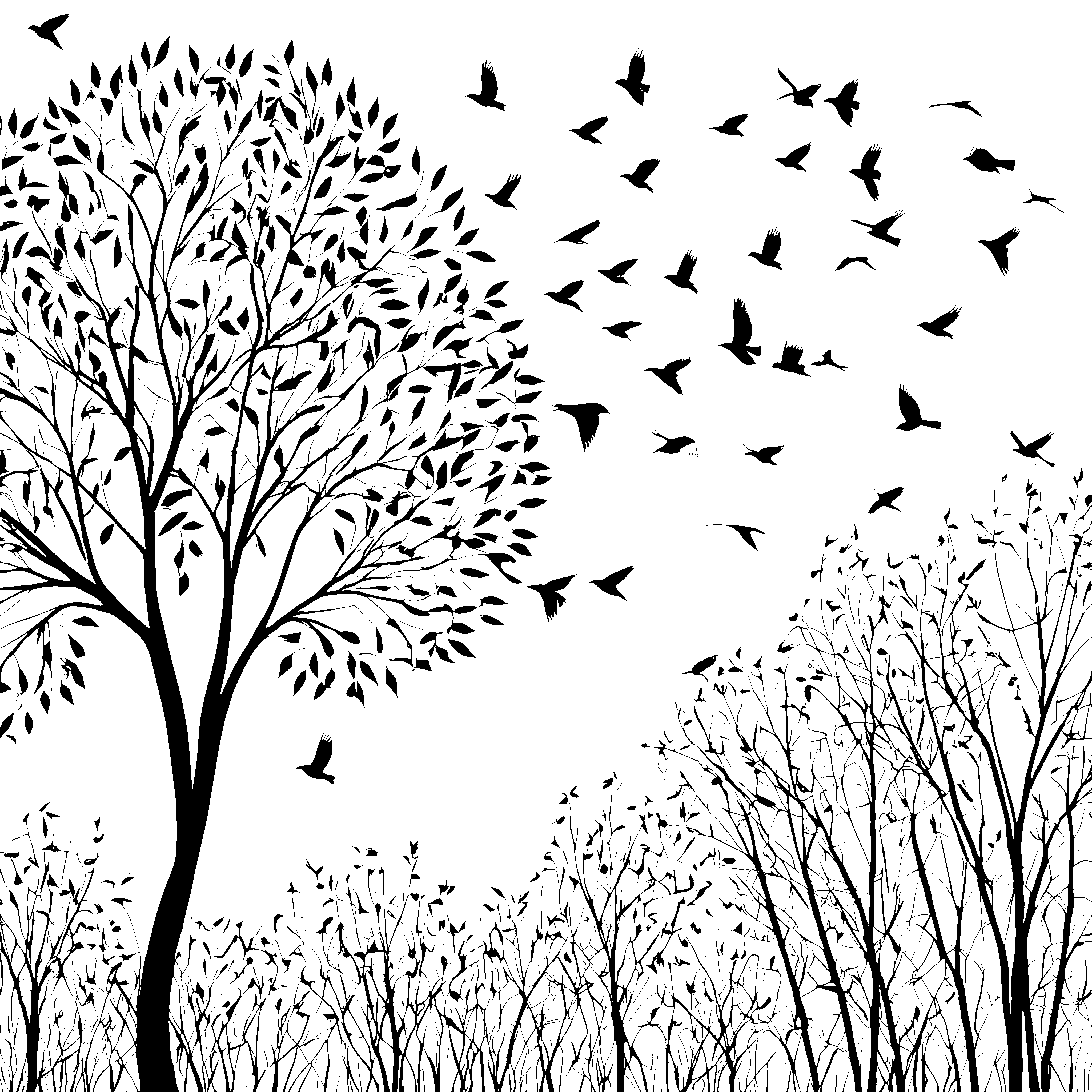 Eleganter Baum mit fröhlichem Vogelgezwitscher Malvorlage für kleine Naturforscher