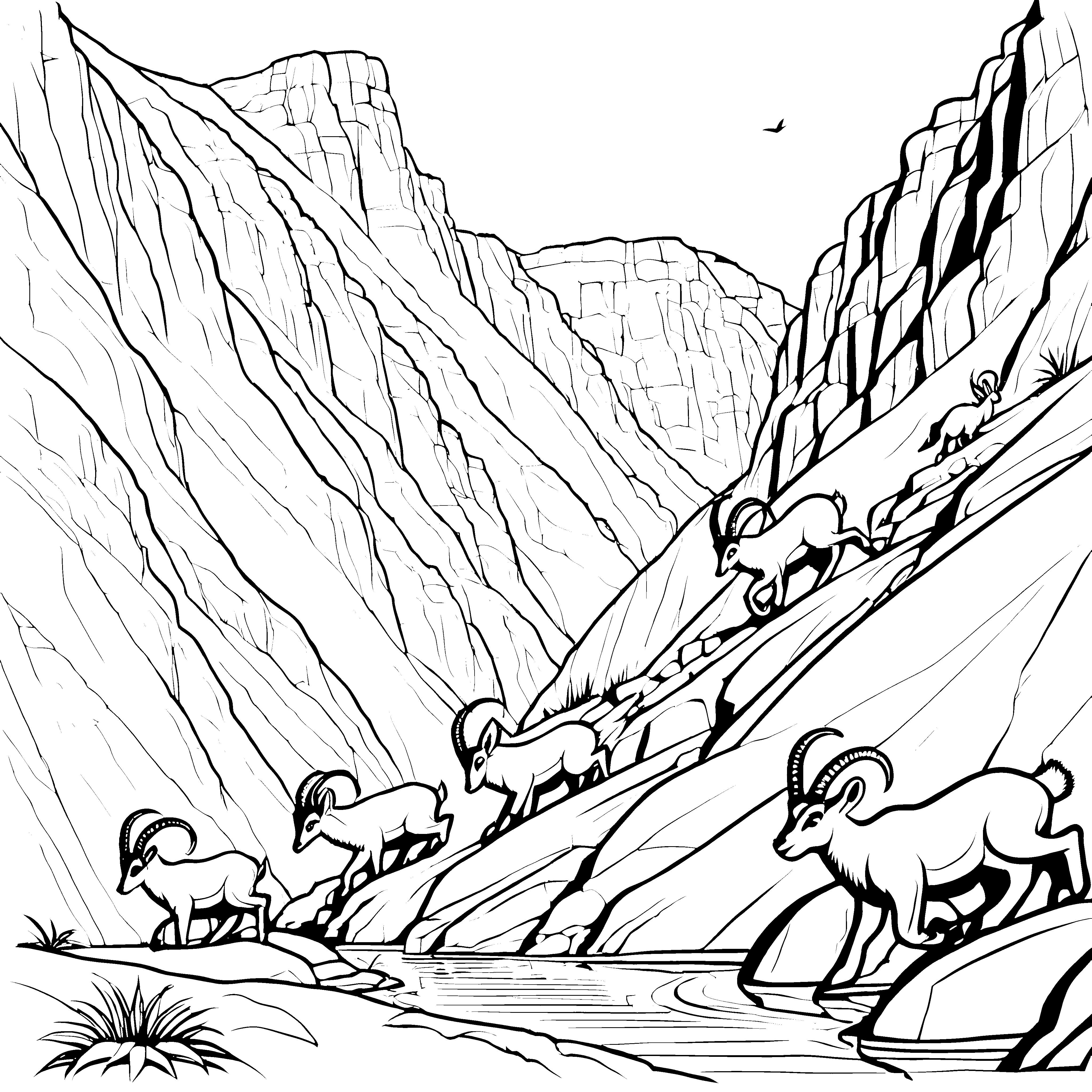 Kleine Steinbock-Babys am Canyon und Bach ausmalen