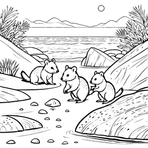 Quokka Babys am Meer malen Spaß für Kinder
