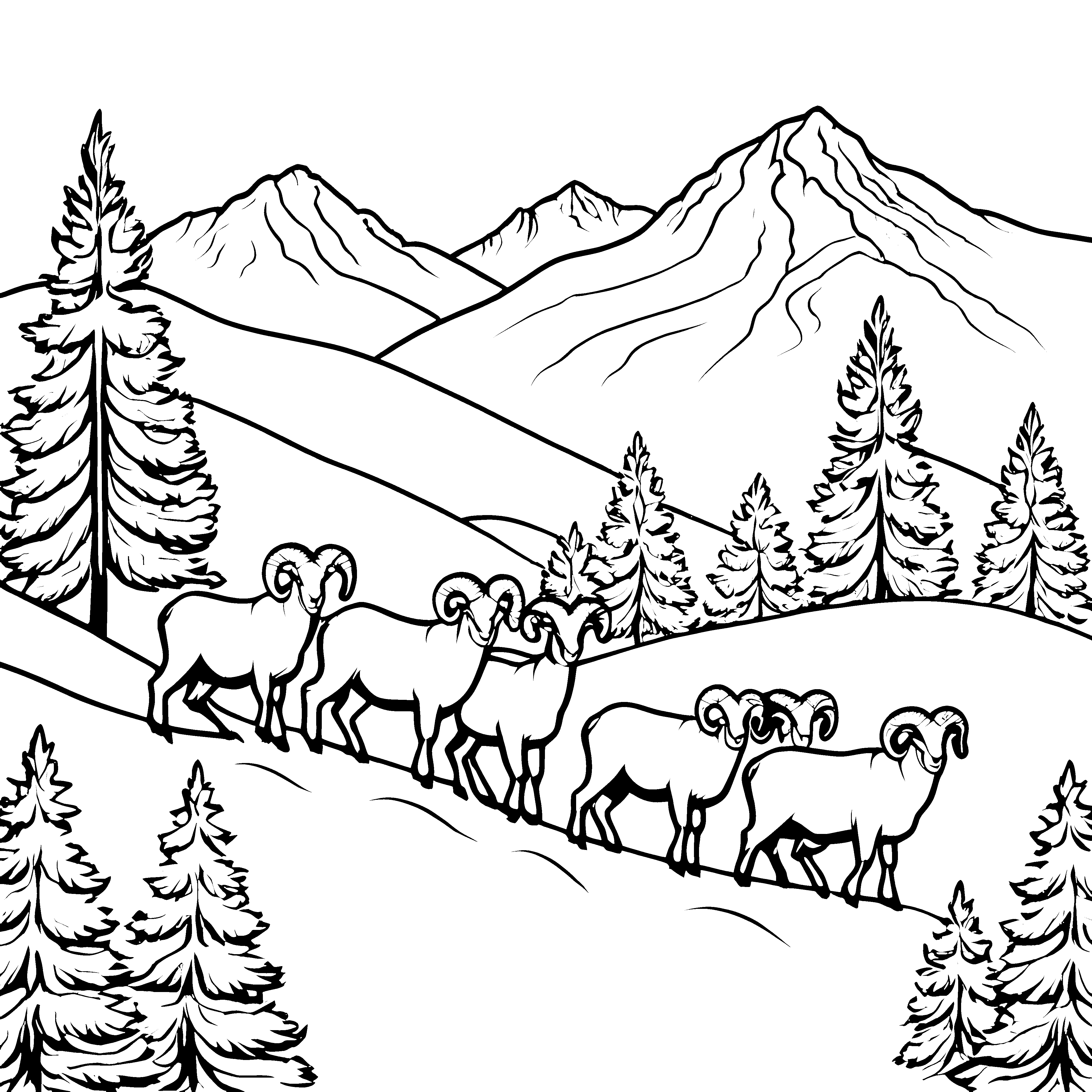 Kuschelige Hammel auf der Bergwiese malen