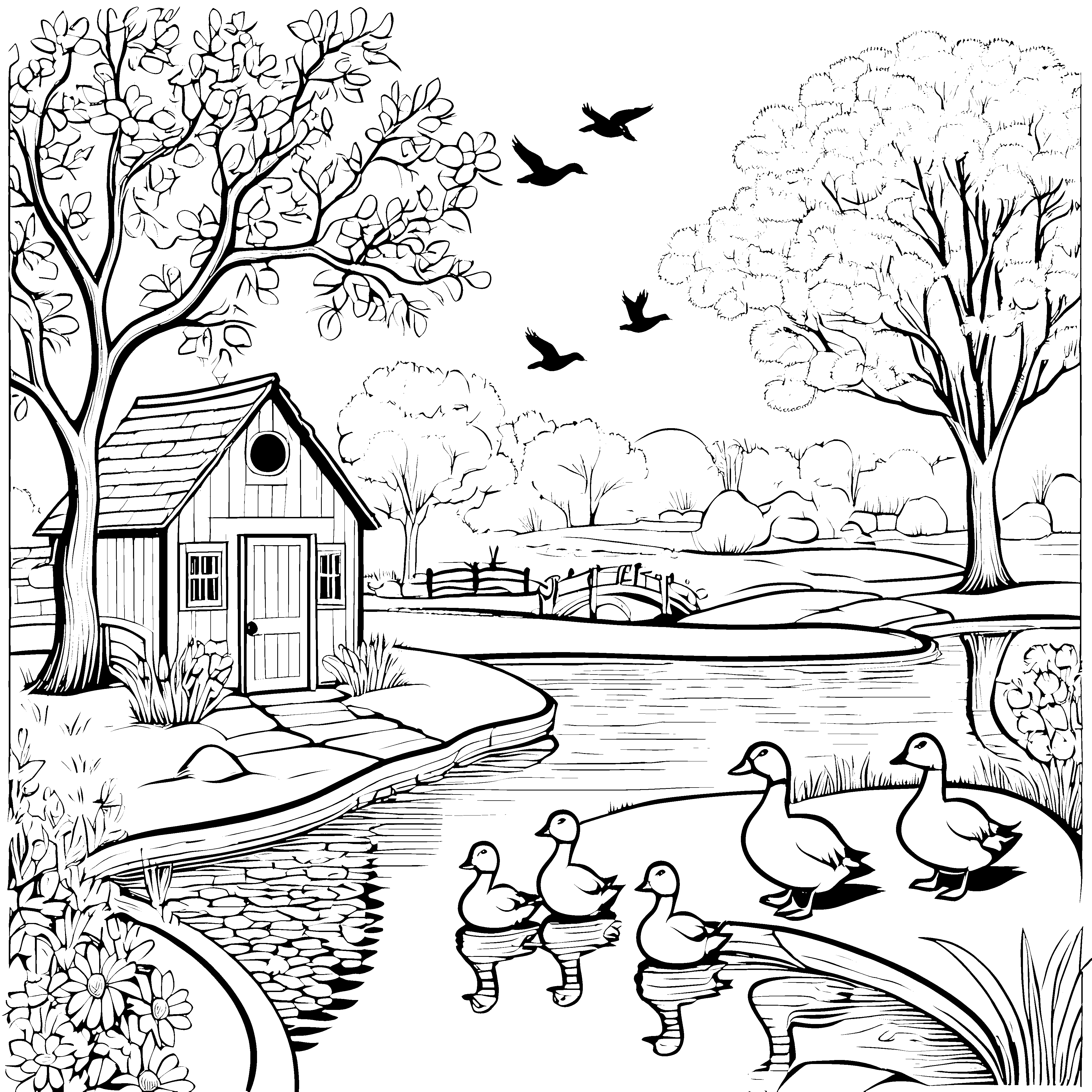 Gänse im Hof: Ein ländliches Ausmalspiel mit Teich und Häuschen