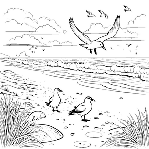 Möwen am Strand mit Wellen und Felsen Ausmalbild fuer kleine Entdecker