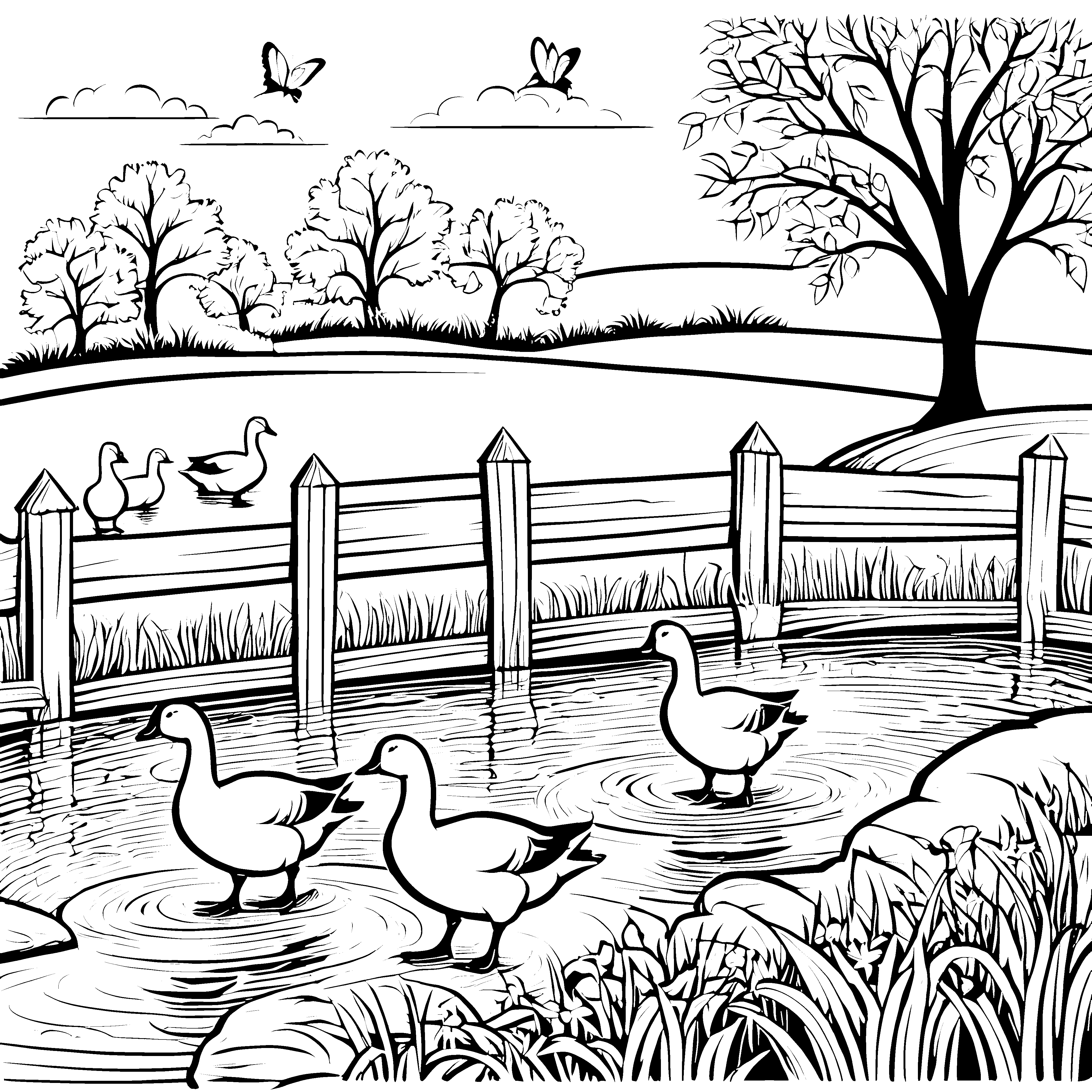 Gänse im Teich vor dem Hofzaun zum Ausmalen