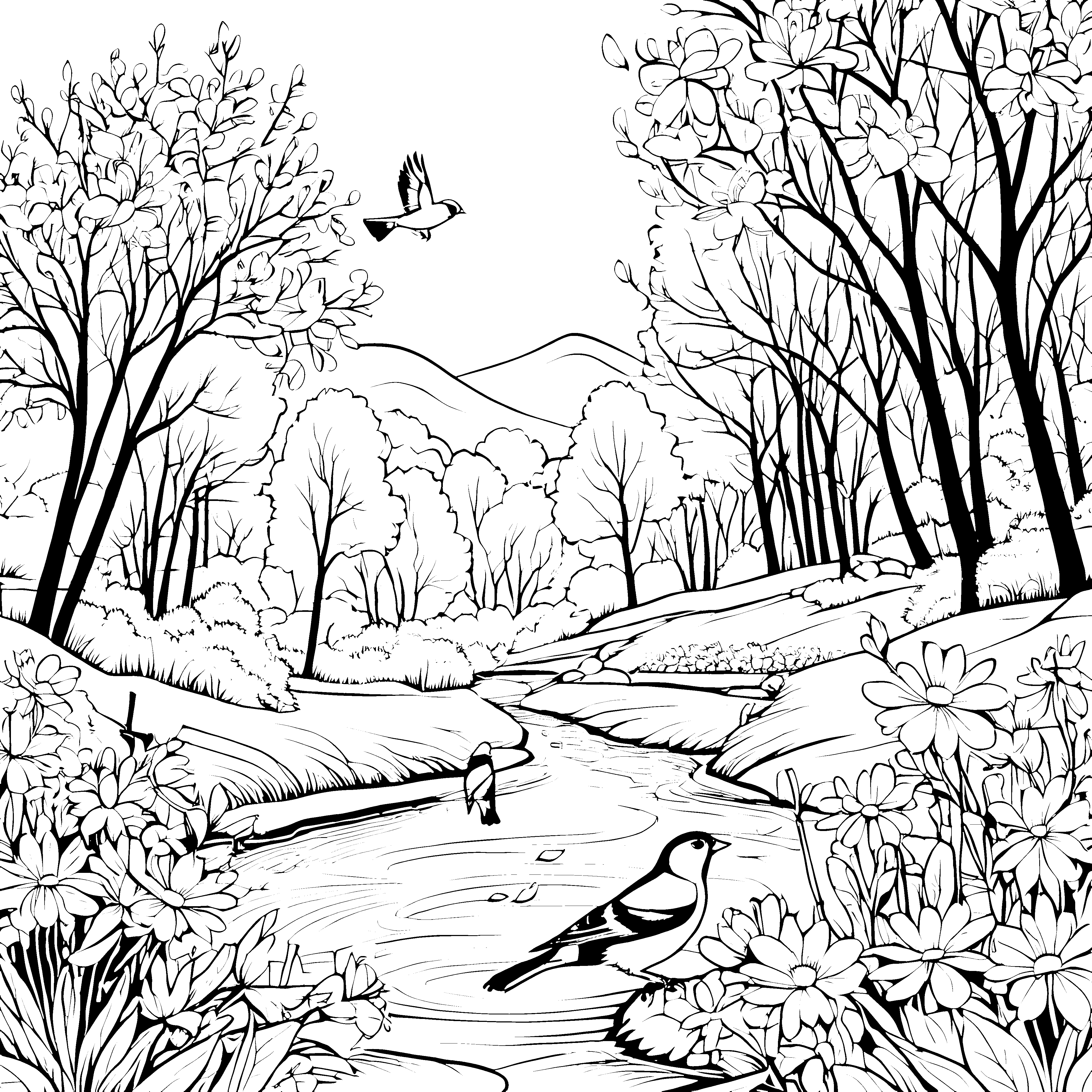 Frühlingszauber: Vögel und Blüten am malerischen Bach ausmalen