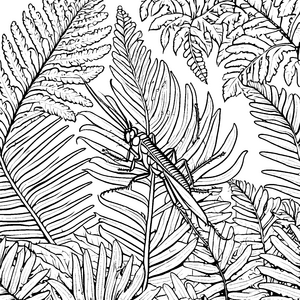 Exotische Heuschrecke im Farn Ausmalbild für neugierige Dschungelträumer