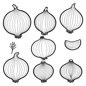 Vielfältige Zwiebeln mit Zweig Ausmalbild für verträumte Küchenfreunde