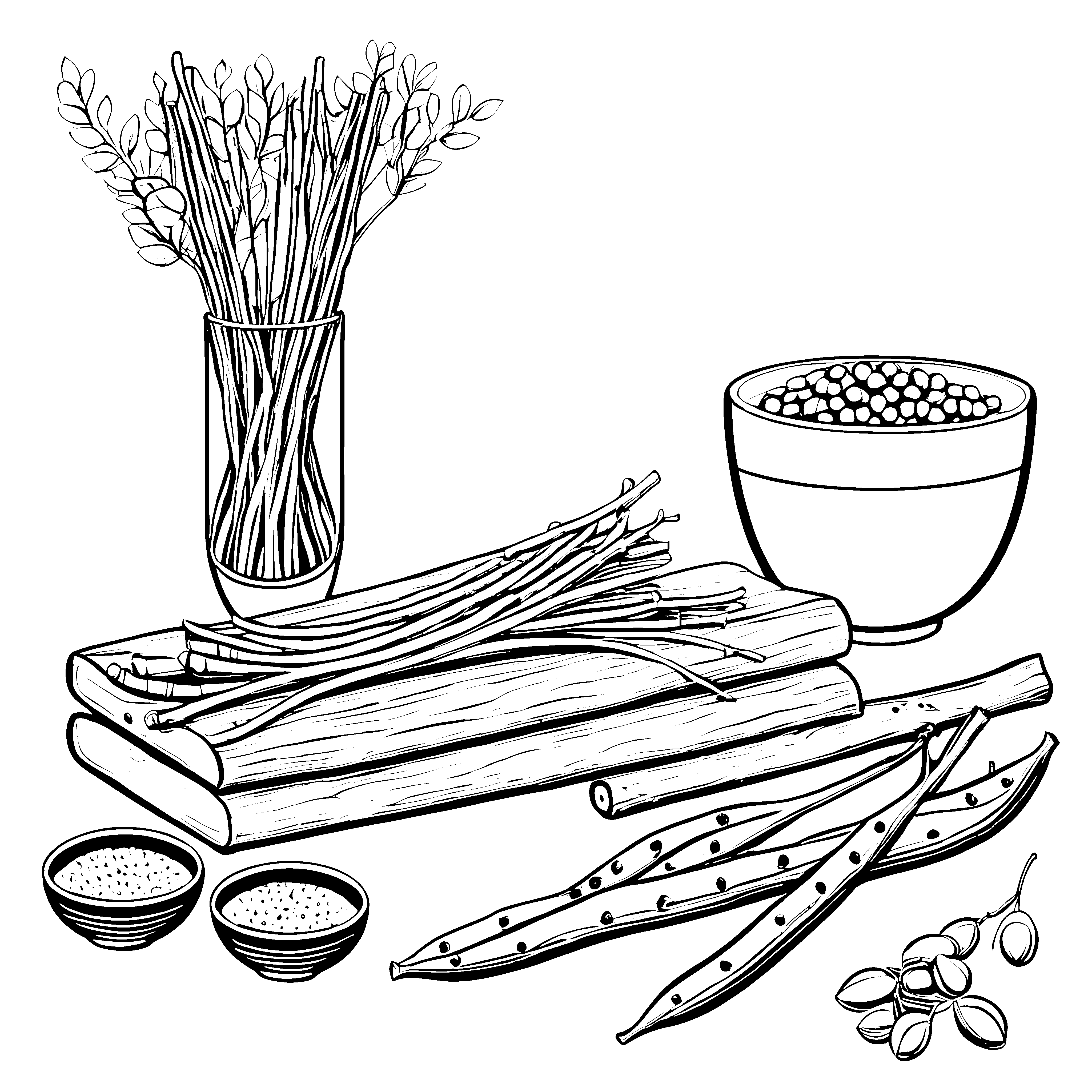 Detailreiche Moringa-Schoten mit Samen Bastelvorlage für junge Naturfreunde