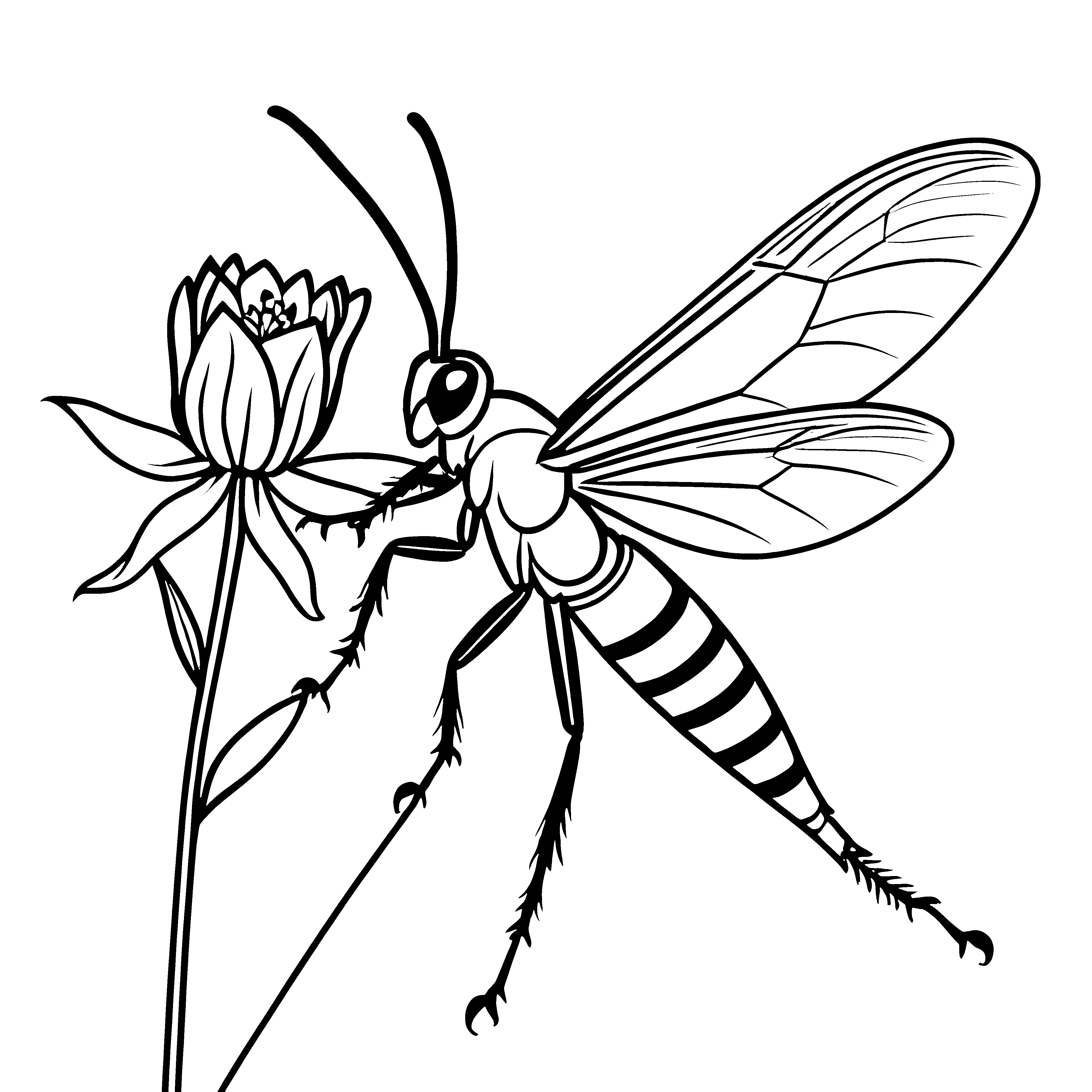 Detailreiche Wespe an der Blüte Malbild für mutige Gartenfreunde