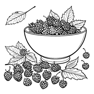 Saftige Himbeeren in Schale Malvorlage für neugierige Beerenfreunde