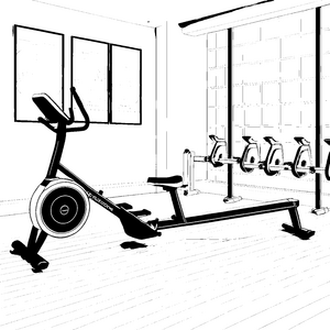 Modernes Rudergerät im Fitnessstudio Bastelmotiv für mutige Sportfreunde