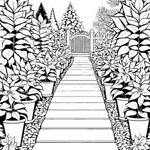Idyllischer Weg mit Weihnachtssternen Ausmalvorlage für kreative Gartenfreunde