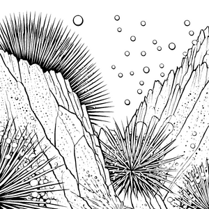 Stachelige Seeigel auf Felsen Ausmalvorlage für mutige Wasserforscher