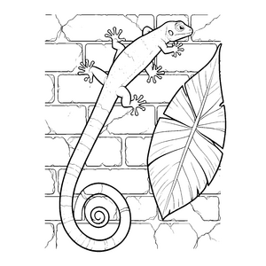 Wandlergecko am großen Blatt Bastelmotiv für malfreudige Pflanzenforscher
