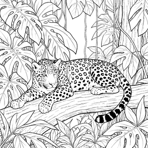 Ruhender Leopard auf Baumstamm Ausmalbild für Tropenfreunde