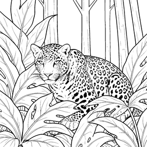 geheimnisvoller Leopard im Dschungel Ausmalbild für Waldkinder
