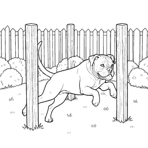 Neugieriger Boxer im Garten Malbild für malfreudige Grünfans