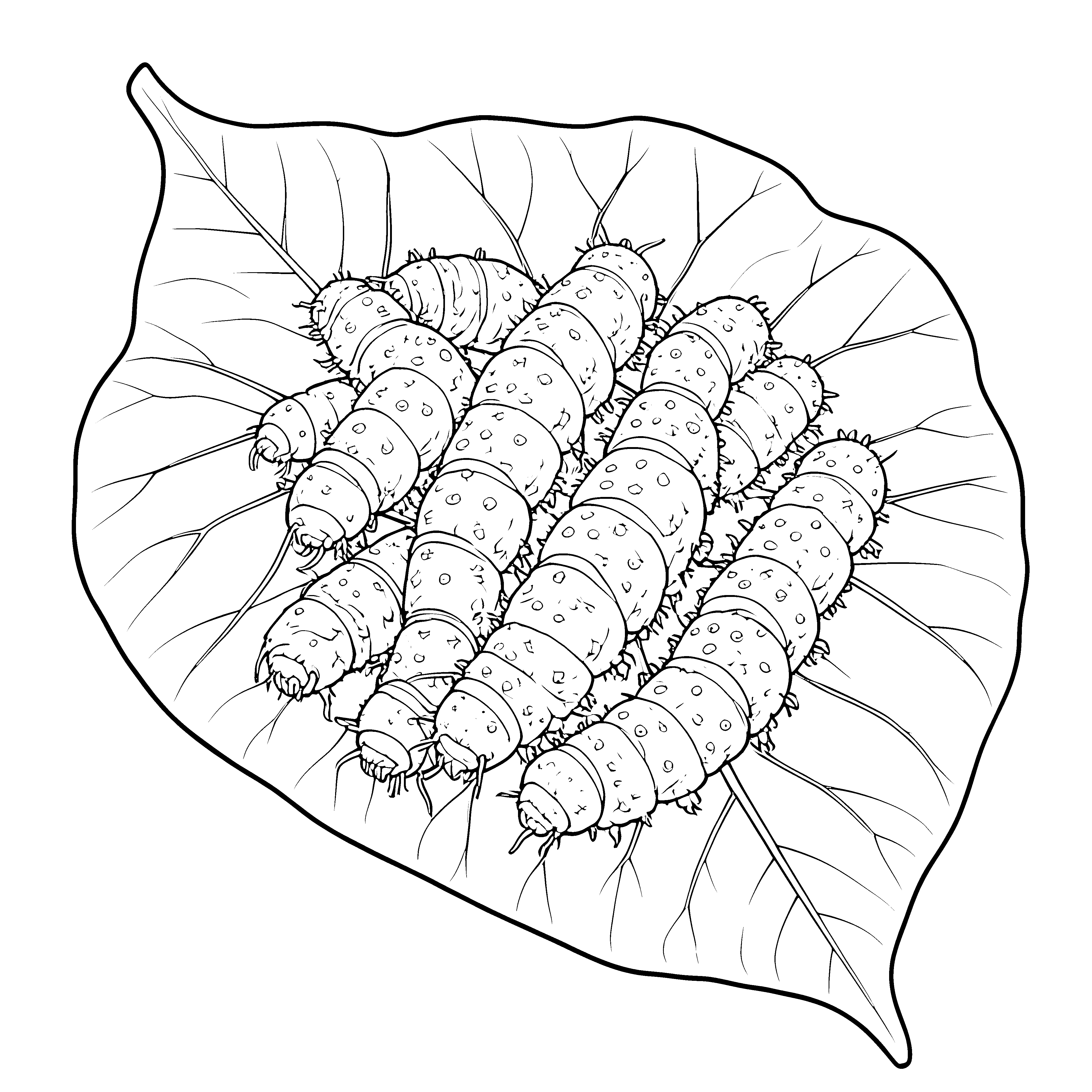 Punktierte Raupen auf Blattadern Bastelmotiv für fröhliche Gartenkinder