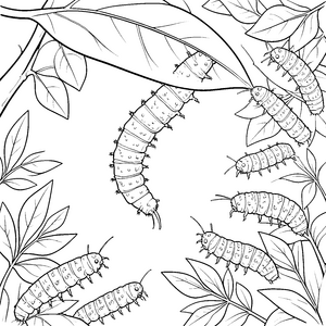 Stachelige Raupen auf Blättern Bastelvorlage für kleine Naturforscher