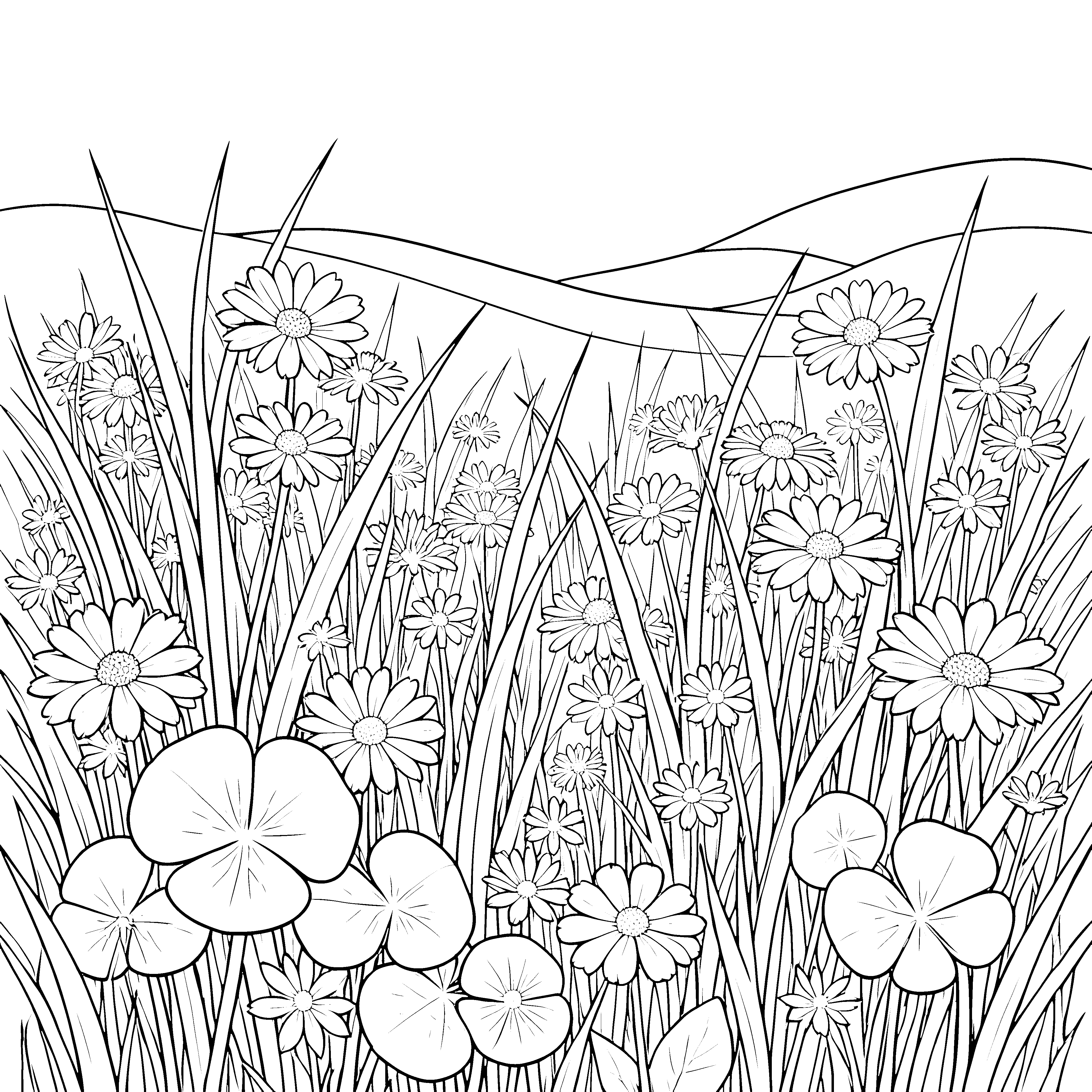 Heitere Sommerwiese mit Kleeblättern Bastelvorlage für kleine Wiesenforscher