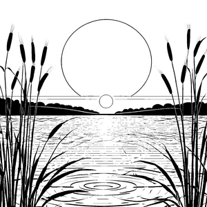 Sanfter Sonnenuntergang mit Schilf Malbild für Wasserfreunde
