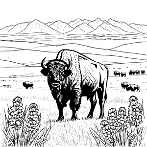 Prachtvoller Bison in Blumenwiese Malvorlage für kleine Wildnisfreunde