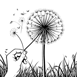 Sanfte Pusteblume im hohen Gras Malbild für fröhliche Wiesenkinder