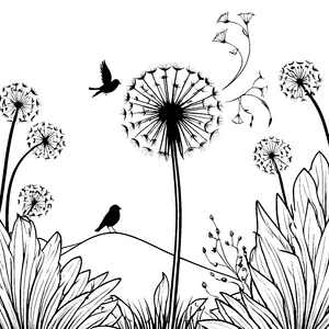 Sanfte Pusteblumen mit kleinen Vögeln Ausmalvorlage für Naturbeobachter