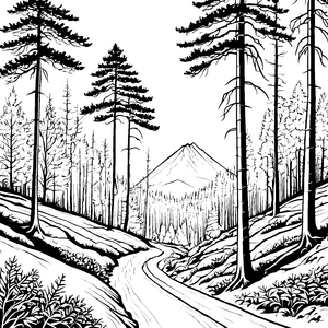 Prachtvolle Fichten am Bergweg Malvorlage für verträumte Waldkinder