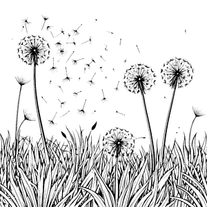 Sanfte Pusteblumen mit wehenden Samen Bastelmotiv für fröhliche Wiesenforscher