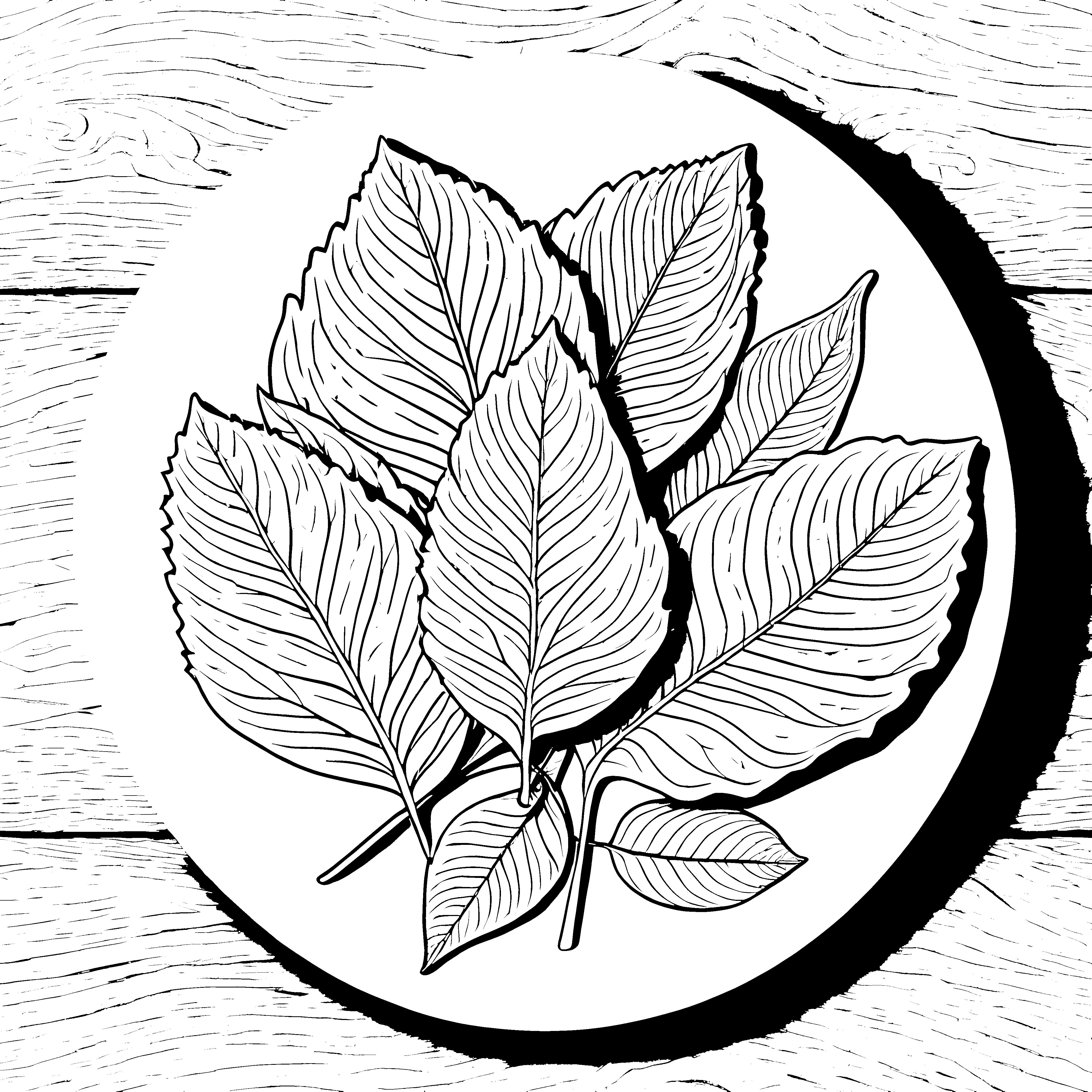 Detailreiche Amaranthblätter auf rundem Hintergrund Bastelmotiv für Gartenfreunde