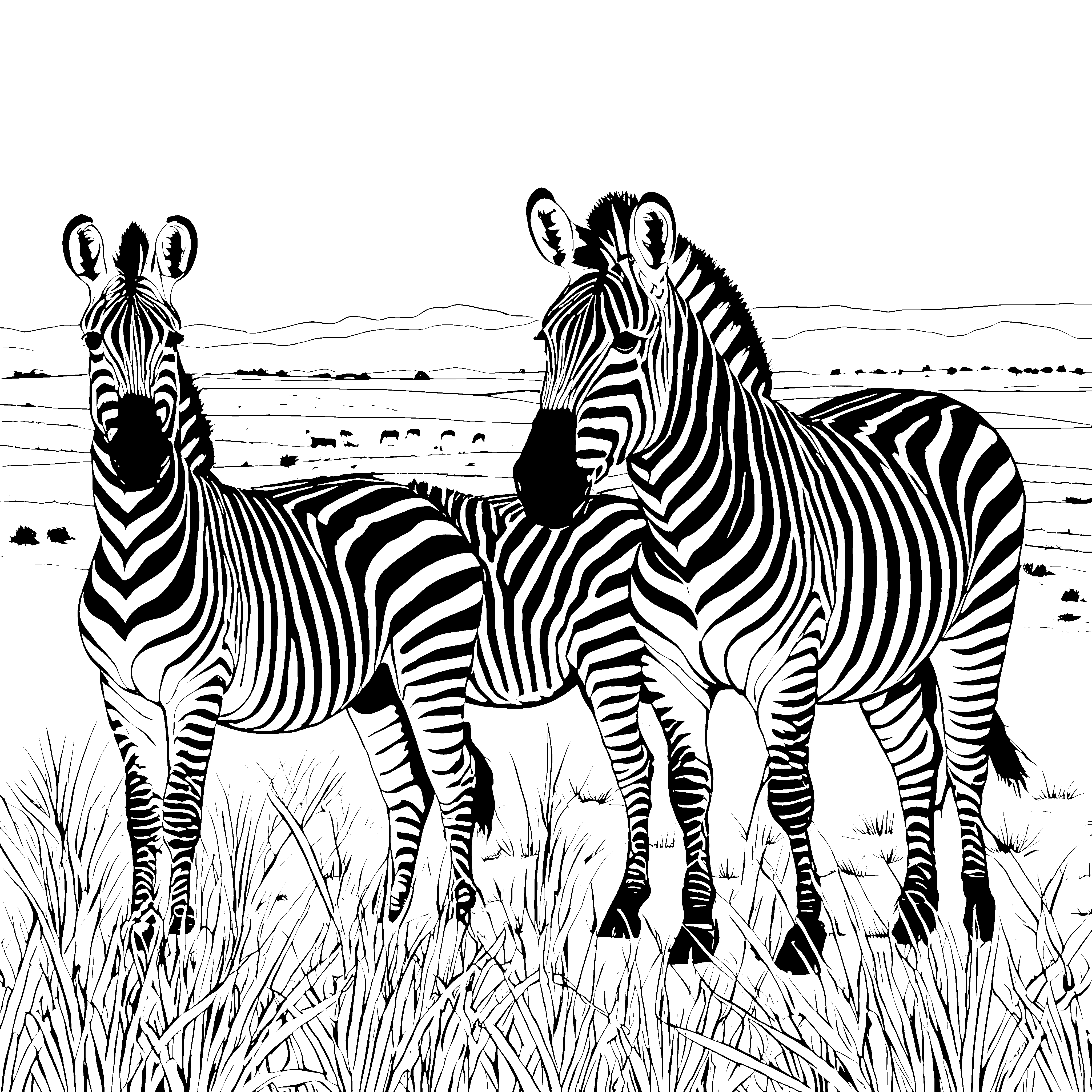 Prachtvolles Zebra-Trio in der Savanne Malbild für kreative Gebirgsfreunde