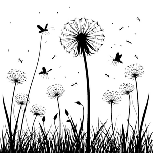 Zauberhafte Pusteblumen mit Libellen Malvorlage für verträumte Wiesenbewohner