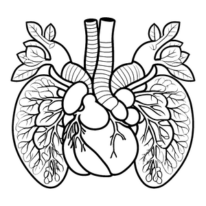 Anatomisches Herz und Lunge Bastelmotiv für Anatomiefreunde
