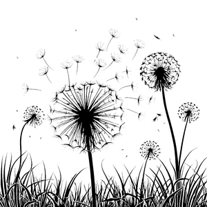 Windige Pusteblumen im hohen Gras Ausmalvorlage für junge Wiesenfreunde