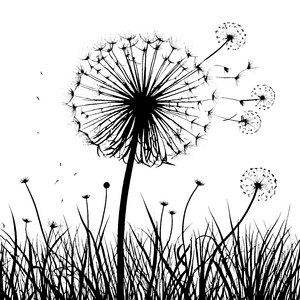 Sanfte Pusteblumen im hohen Gras Ausmalvorlage für mutige Wiesenkinder