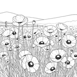 Idyllisches Mohnblumenfeld am Zaun Bastelvorlage für junge Blumenbegeisterte
