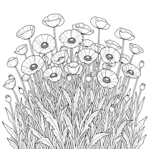 Wunderschöne Mohnblumen mit Knospen Ausmalbild für kleine Blumenstaubsammler