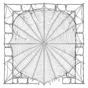 Riesiges Spinnennetz an Steinwand Bastelvorlage für verträumte Mauerbewohner