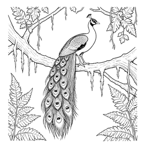 Majestätischer Pfau auf Farnwedel Malbild für fröhliche Waldfreunde