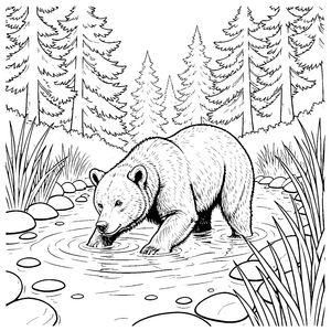 Dorstiger Braunbär im Fluss Malbild für kleine Wasserfreunde