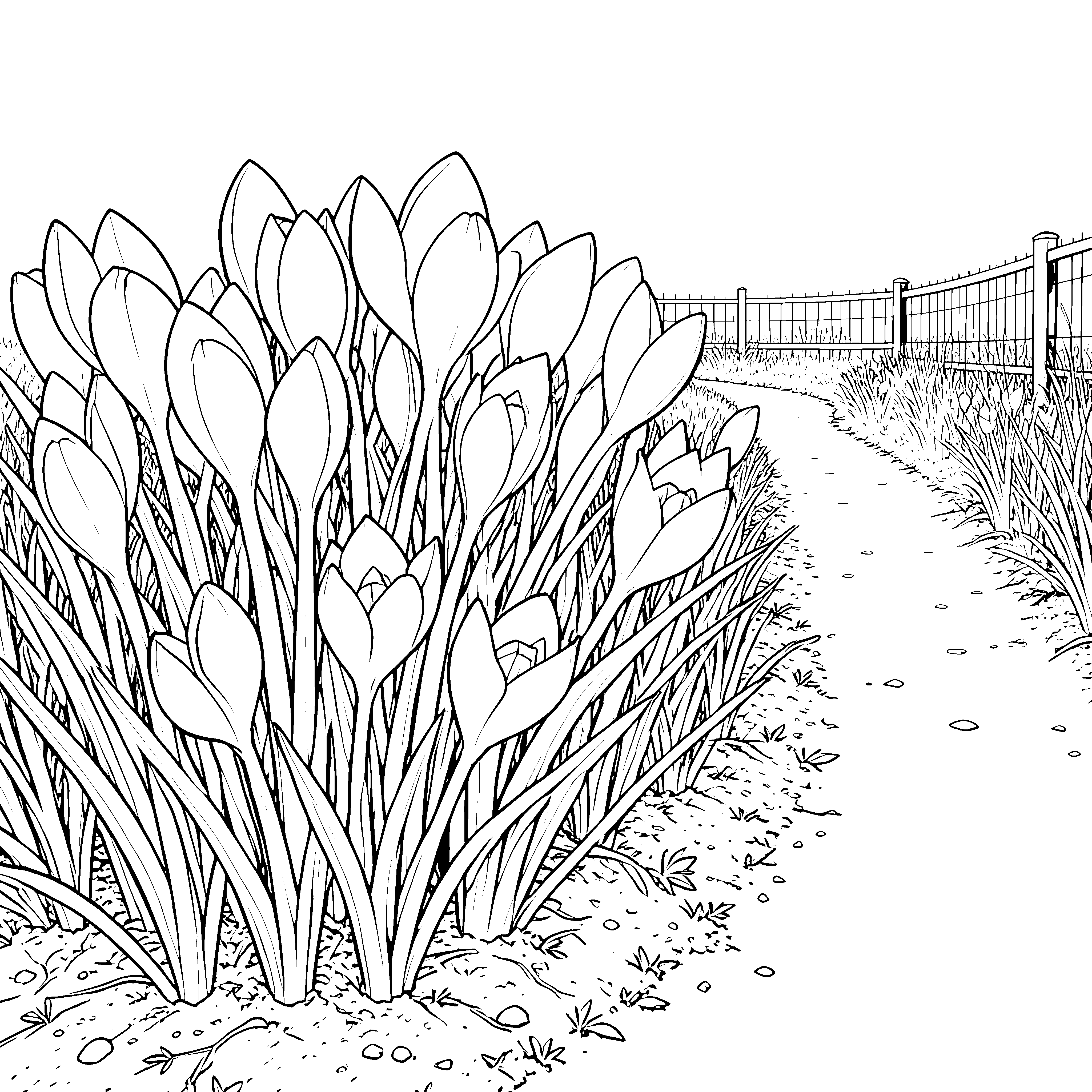 Prächtige Frühlingsglocken am Zaunweg Malbild für kleine Blumenputzer