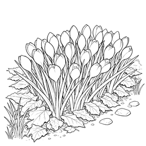 Farbenfrohe Krokussen auf Steinen Malbild für kleine Blumenputzer