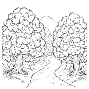 Dichte Büsche am steinigen Waldweg Ausmalvorlage für kleine Naturbeobachter