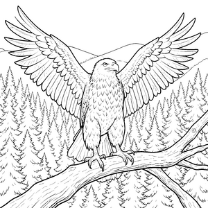 Imposanter Greifvogel im Tannenwald Ausmalvorlage für kreative Waldgeister