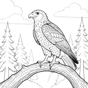 Majestätischer Greifvogel auf dickerem Ast Bastelvorlage für Waldbeobachter