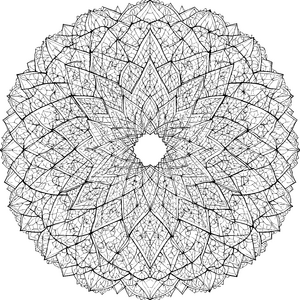 Komplexes Blattmandala mit feinen Ornamenten Malbild für verträumte Symmetriefreunde