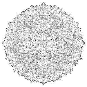 Prachtvolles Blattmandala mit feinen Ornamenten Bastelmotiv für junge Symmetriebegeisterte