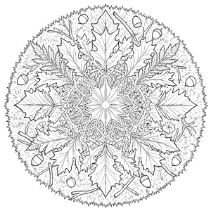 Detailreiches Eichenblatt-Mandala Ausmalbild für neugierige Waldputzer